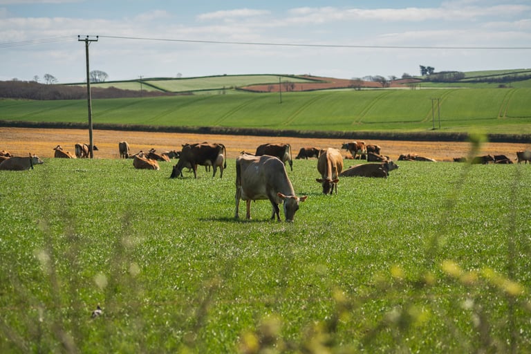 British countryside farm